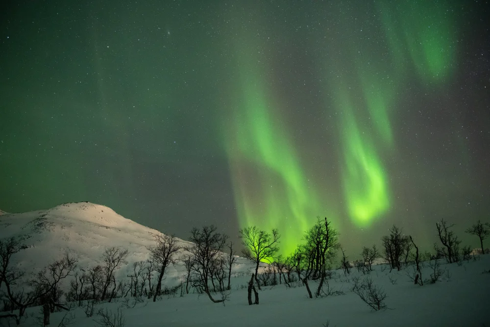 Northern Lights